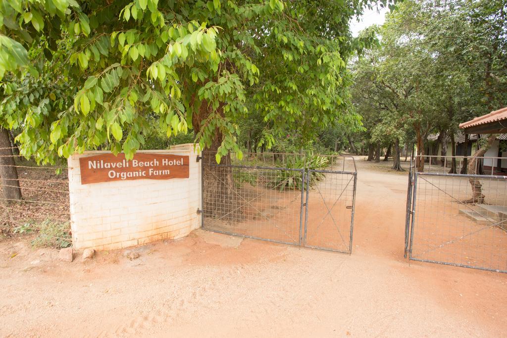 Nilaveli Beach Hotel Exterior photo